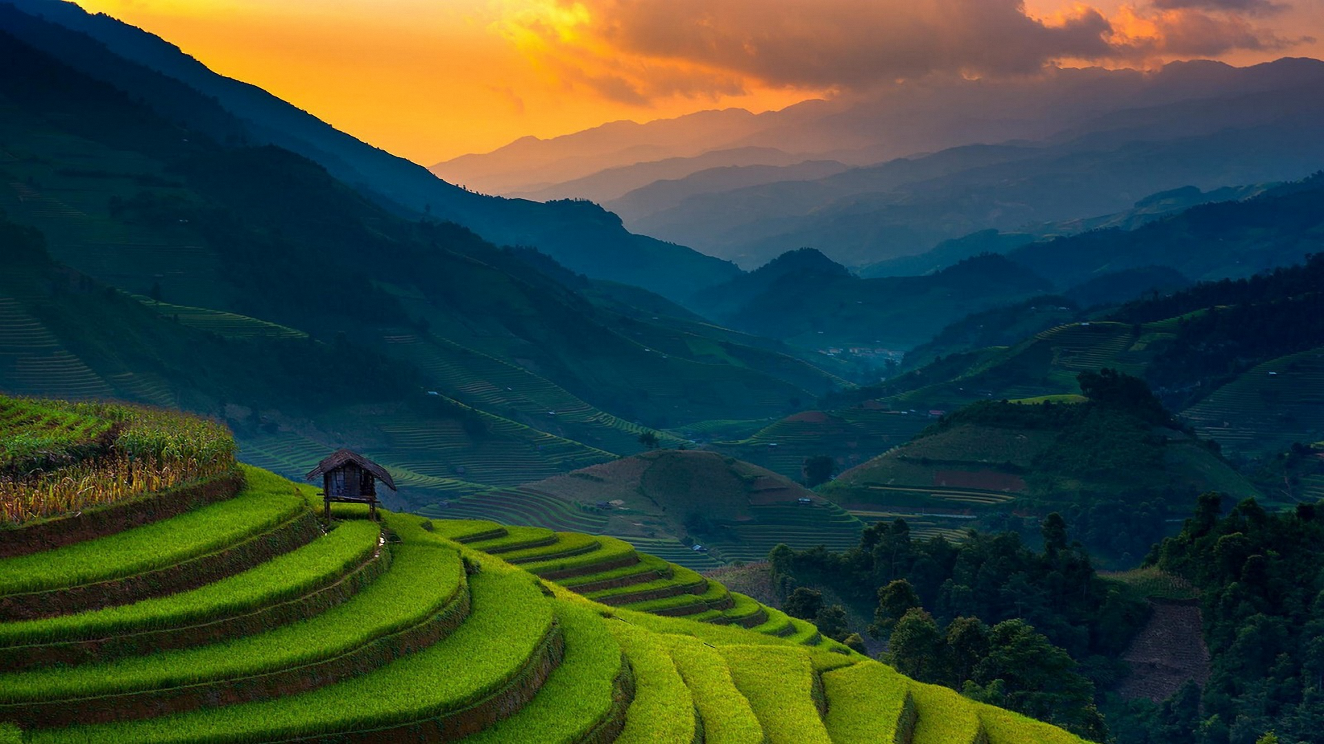 Mu Cang Chai Rice Field, Vietnam